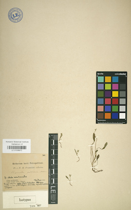 LE 01036972