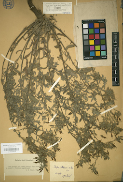 LE 01036979