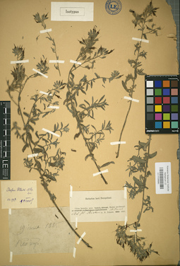LE 01036980