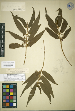LE 01036982