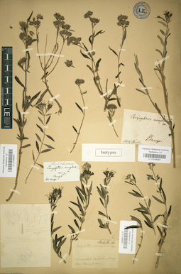 LE 01036995