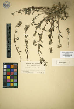 LE 01036996