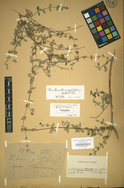 LE 01036998