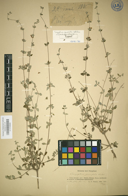 LE 01036999