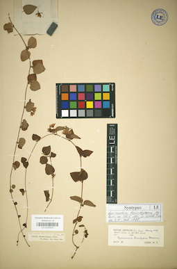 LE 01037010