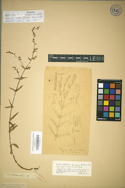 LE 01037016