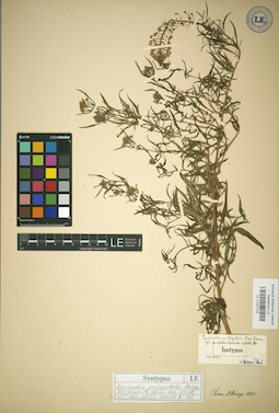 LE 01037018
