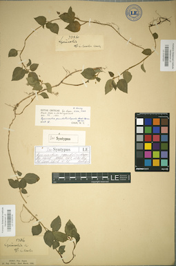 LE 01037020