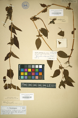 LE 01037023