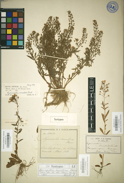 LE 01037028
