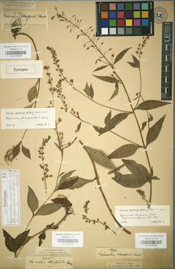LE 01037030