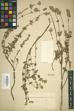 LE 01041280