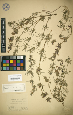 LE 01041292