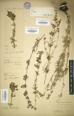 LE 01041295