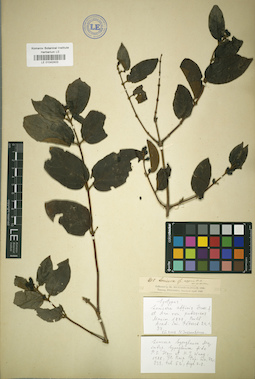 LE 01042403