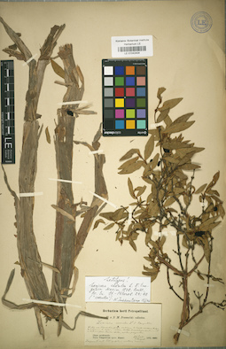 LE 01042404