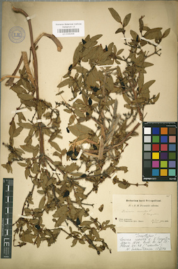 LE 01042406
