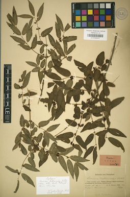 LE 01042412