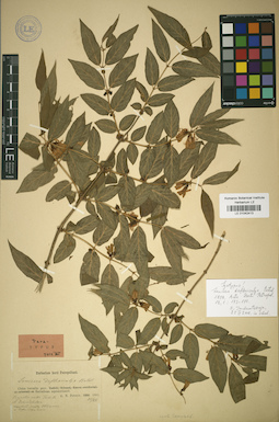 LE 01042413