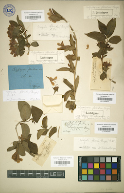 LE 01042425