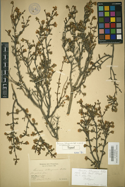 LE 01042435