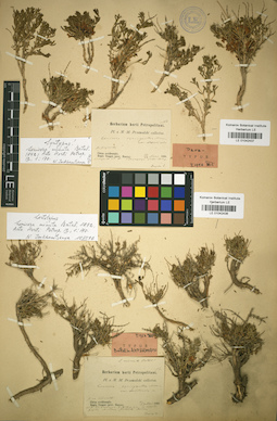 LE 01042437