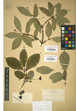 LE 01042440