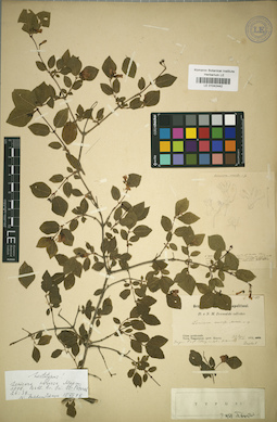 LE 01042442