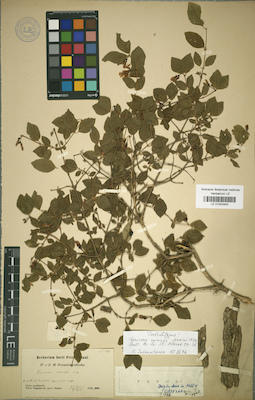 LE 01042443