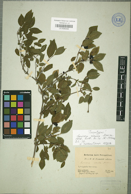 LE 01042448