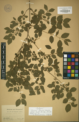 LE 01042449