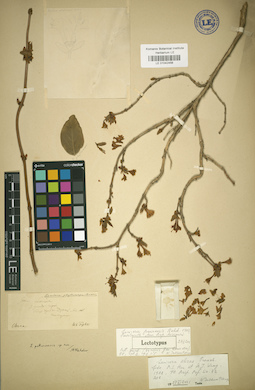 LE 01042456