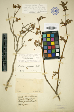 LE 01042457