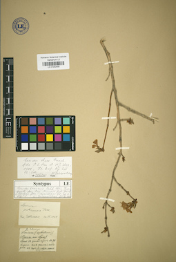 LE 01042458