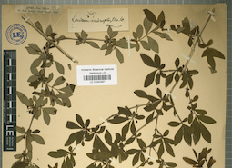 LE 01042467