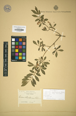 LE 01042470