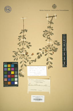 LE 01042471