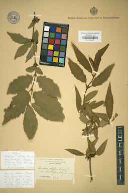 LE 01042472