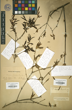 LE 01042474
