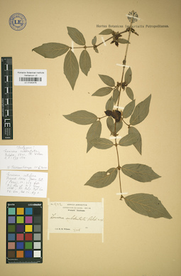 LE 01042476