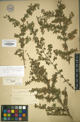 LE 01042484