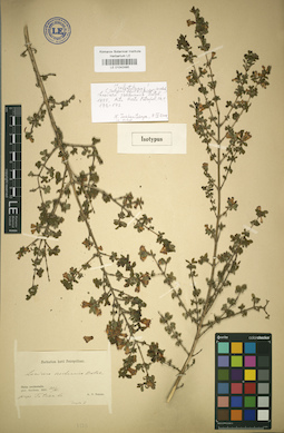 LE 01042485