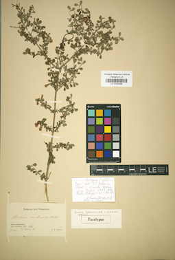 LE 01042486