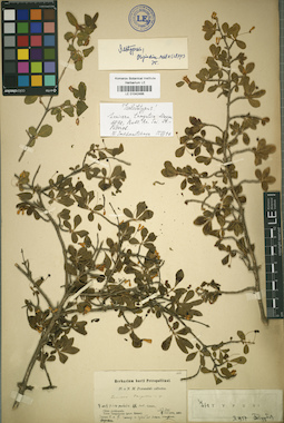 LE 01042488