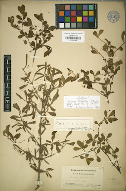 LE 01042489