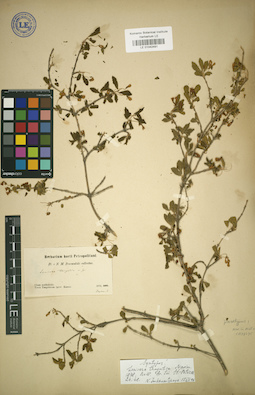 LE 01042491