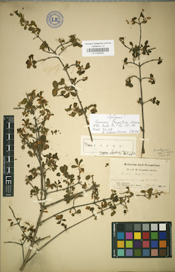 LE 01042493