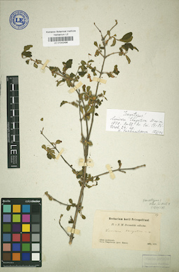 LE 01042496
