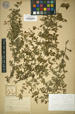 LE 01042497