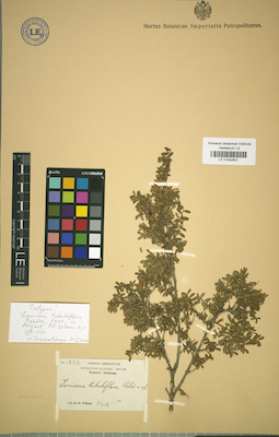 LE 01042501